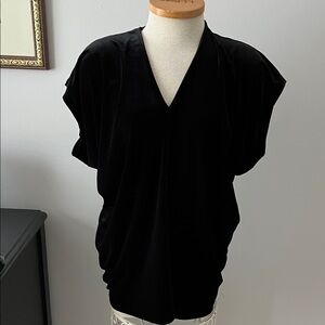 Lands End Stretch velvet top